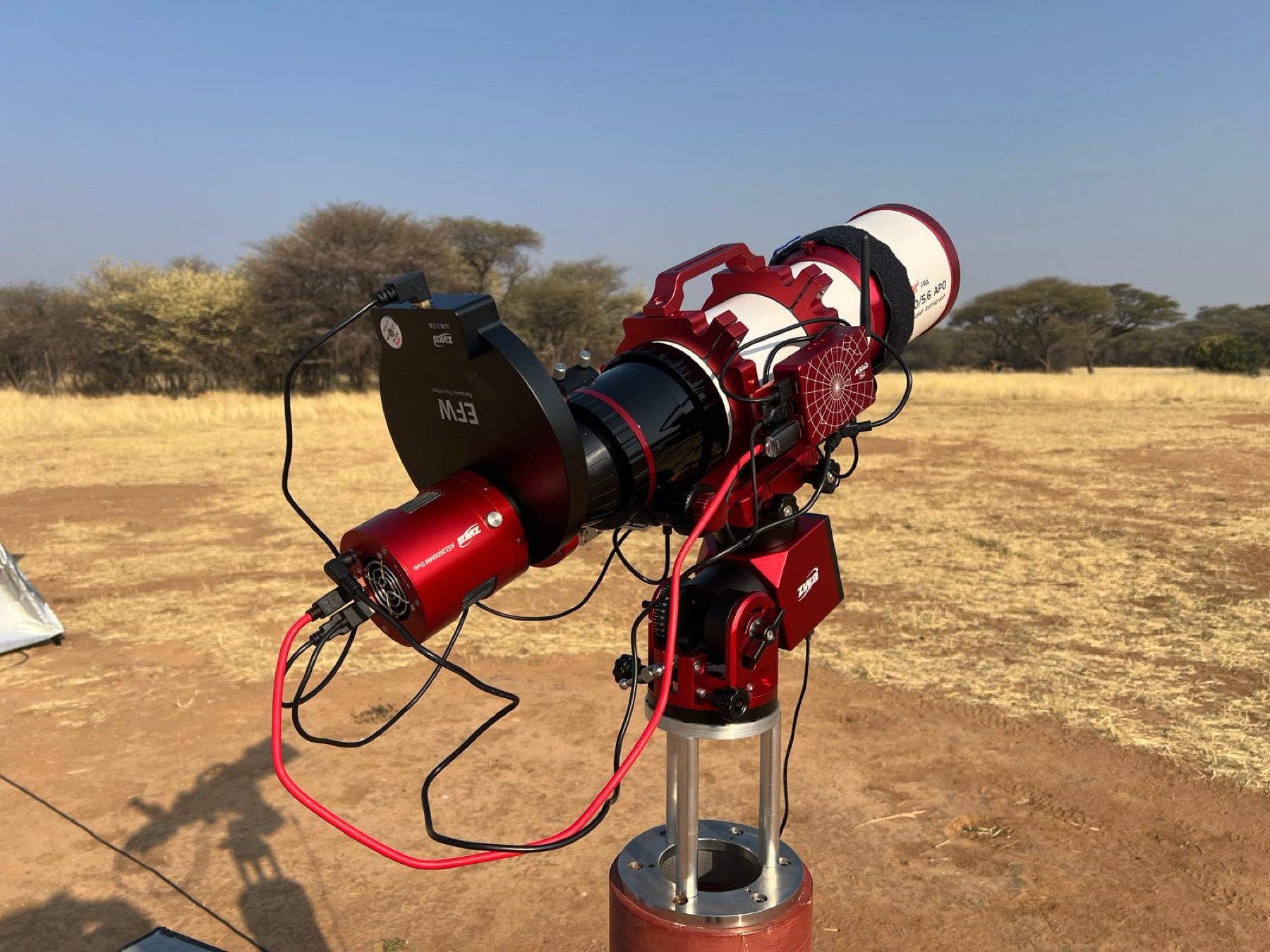 Full ZWO imaging train on a harmonic mount: ASI2600MM Duo, EFW filter wheel and AM5 under a daytime savanna sky